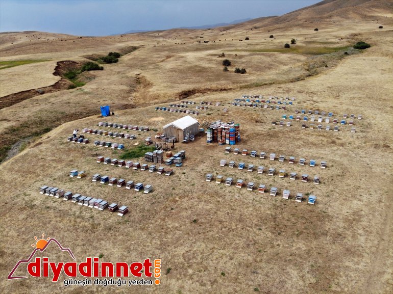ağrı bal mesaisi6