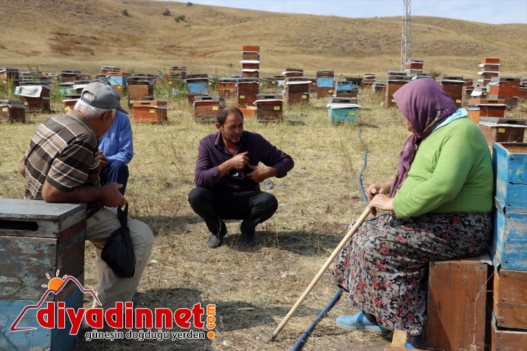 ağrı bal mesaisi9
