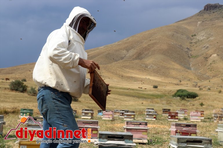 ağrı bal mesaisi10