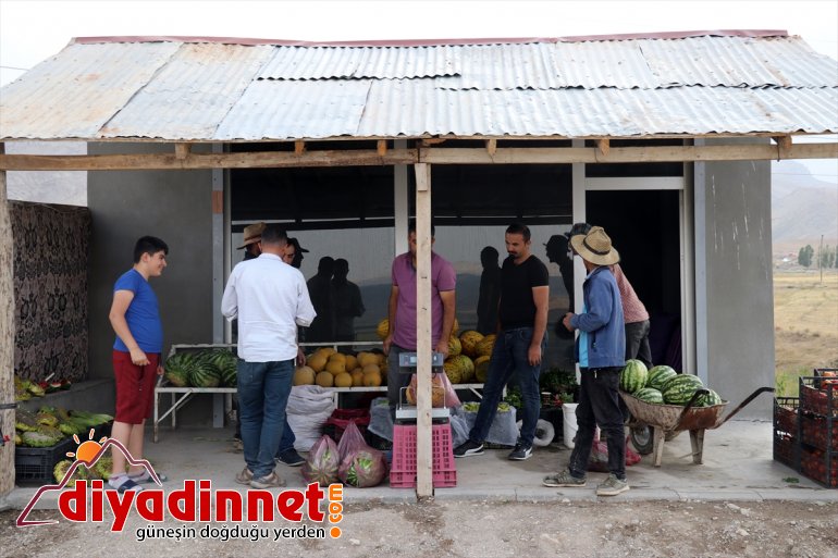 bostanda sebze Burada meyve denilmesine - kurdukları AĞRI rağmen arpa tonlarca üretiyorlar bile yetişmez 26