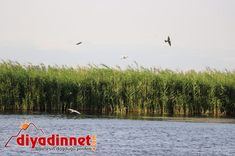 Ağrı Dağı Milli Parkı, doğal güzelliği ve hayvan çeşitliliğiyle dikkat çekiyor1