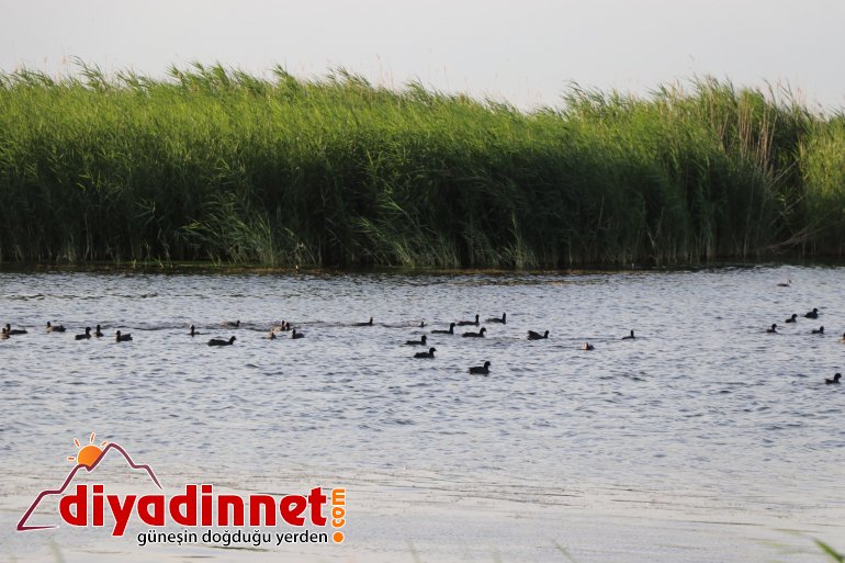 Ağrı Dağı Milli Parkı, doğal güzelliği ve hayvan çeşitliliğiyle dikkat çekiyor2