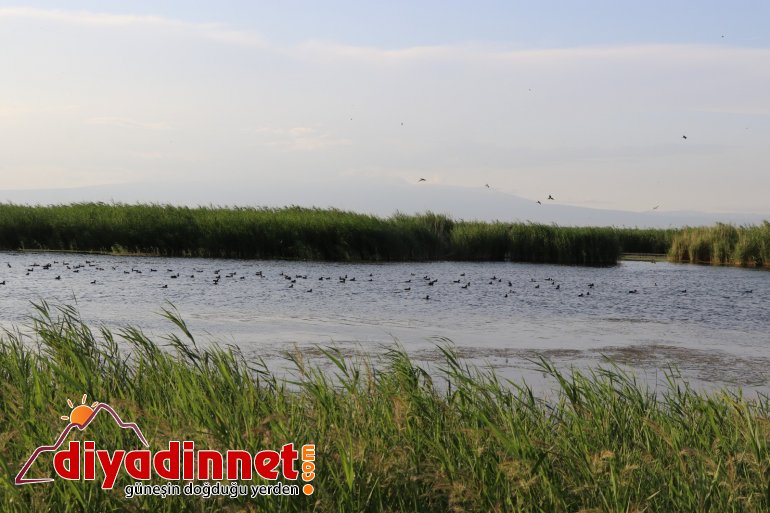 Ağrı Dağı Milli Parkı, doğal güzelliği ve hayvan çeşitliliğiyle dikkat çekiyor3