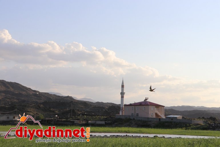 Ağrı Dağı Milli Parkı, doğal güzelliği ve hayvan çeşitliliğiyle dikkat çekiyor4