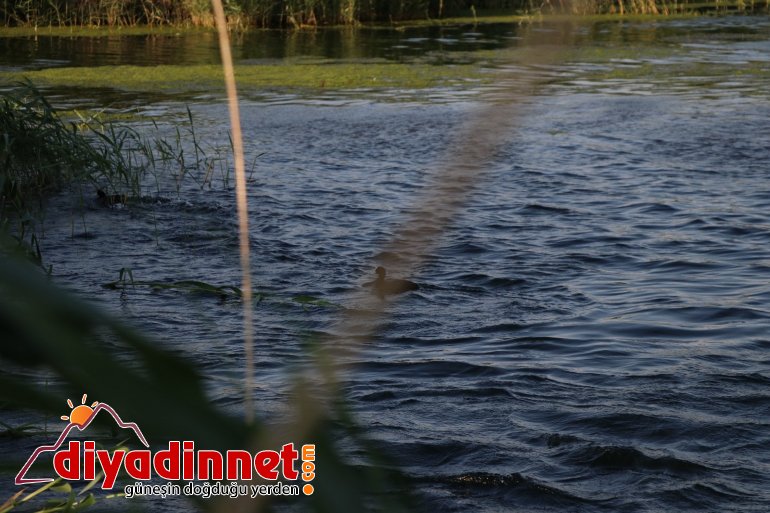 Ağrı Dağı Milli Parkı, doğal güzelliği ve hayvan çeşitliliğiyle dikkat çekiyor5