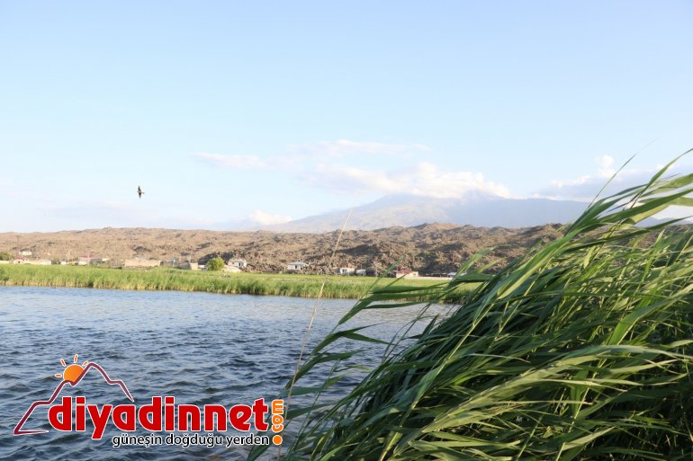 Ağrı Dağı Milli Parkı, doğal güzelliği ve hayvan çeşitliliğiyle dikkat çekiyor6