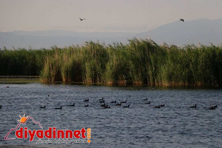 Ağrı Dağı Milli Parkı, doğal güzelliği ve hayvan çeşitliliğiyle dikkat çekiyor7