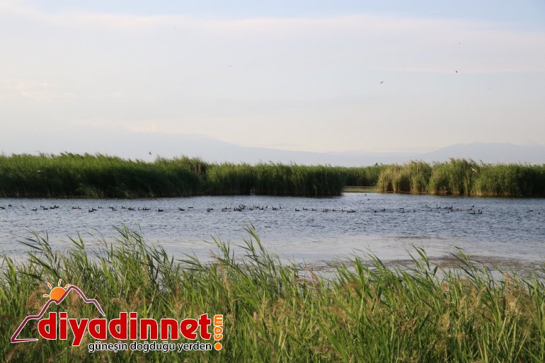 Ağrı Dağı Milli Parkı, doğal güzelliği ve hayvan çeşitliliğiyle dikkat çekiyor9