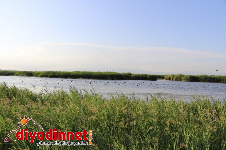 Ağrı Dağı Milli Parkı, doğal güzelliği ve hayvan çeşitliliğiyle dikkat çekiyor10