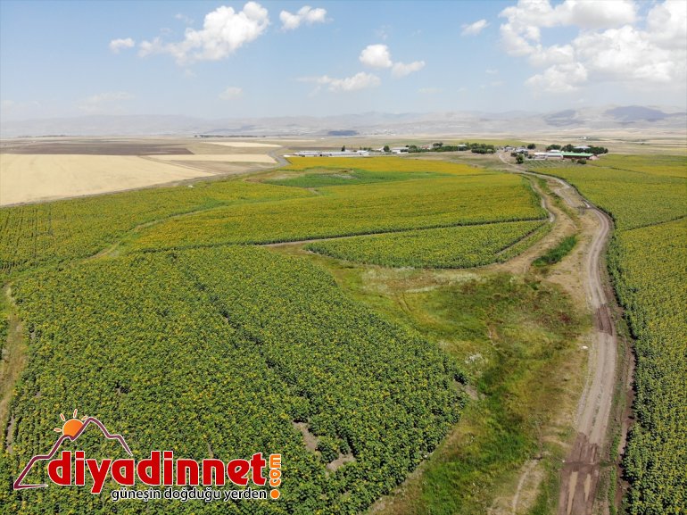 desteğiyle üretimi artan Ağrı