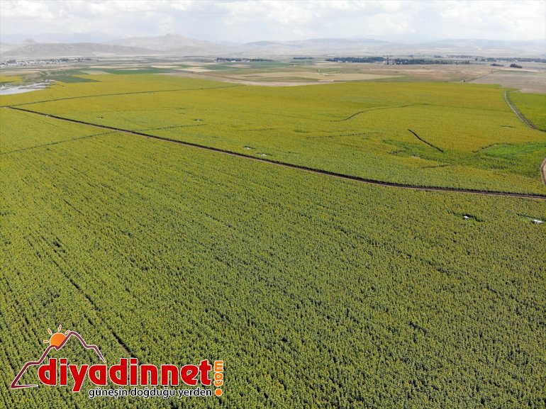 kazanç AĞRI artan çiftçiye Ağrı