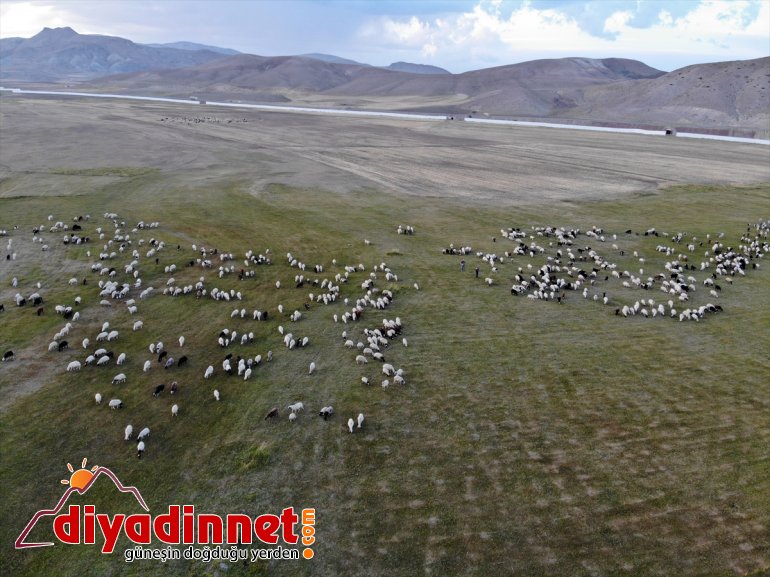 AĞRI dönüş Anadolu