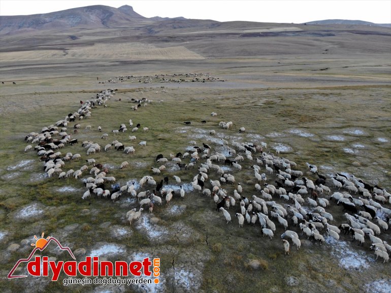 dönüş yaylalardan göçerlerin başladı yolculuğu - AĞRI Anadolu