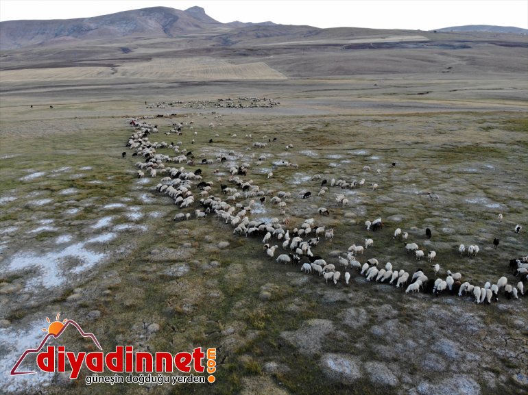 başladı dönüş yolculuğu AĞRI yaylalardan Doğu göçerlerin - Anadolu