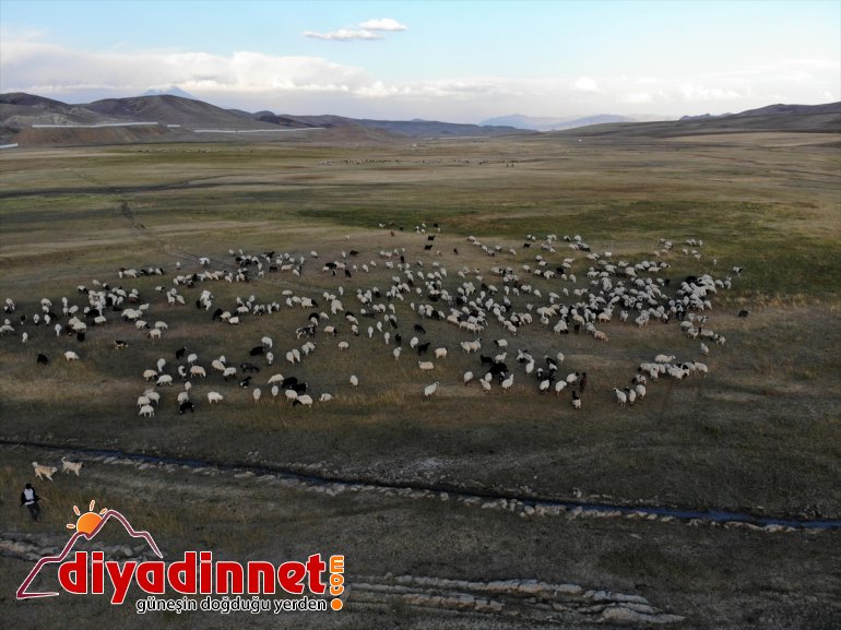Doğu - göçerlerin başladı yolculuğu AĞRI dönüş Anadolu