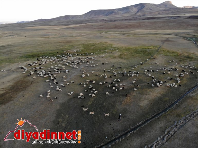yaylalardan dönüş Doğu AĞRI göçerlerin - başladı yolculuğu Anadolu