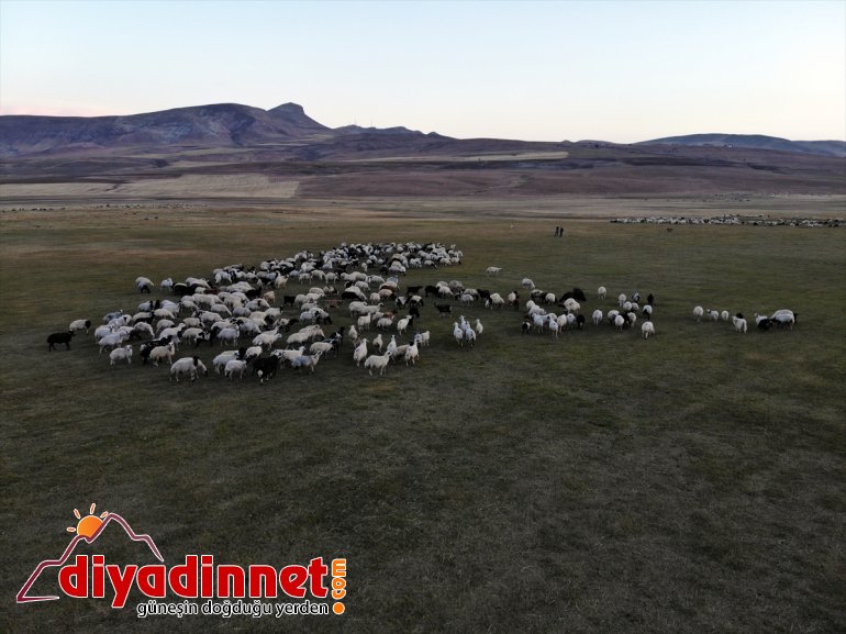 dönüş yaylalardan göçerlerin başladı Doğu - AĞRI yolculuğu Anadolu