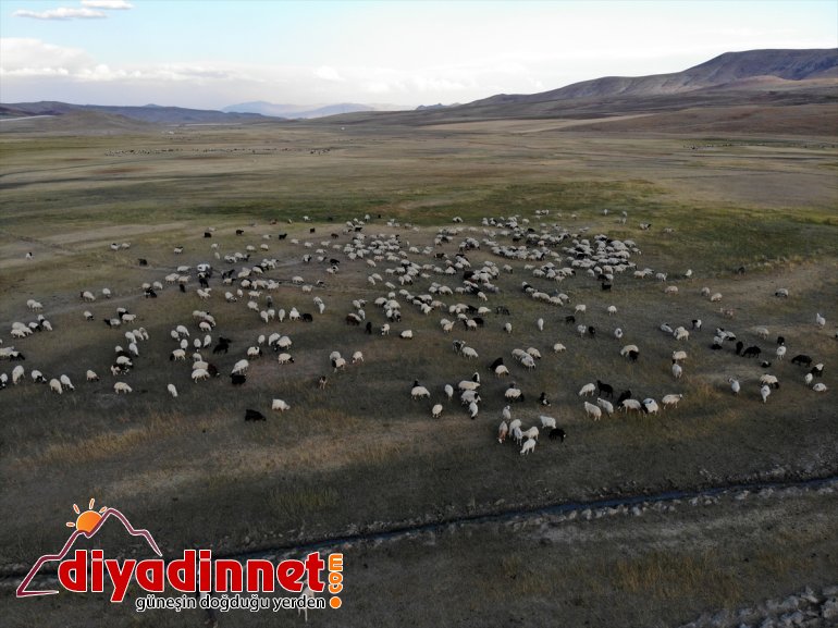 dönüş AĞRI başladı - göçerlerin yolculuğu Anadolu