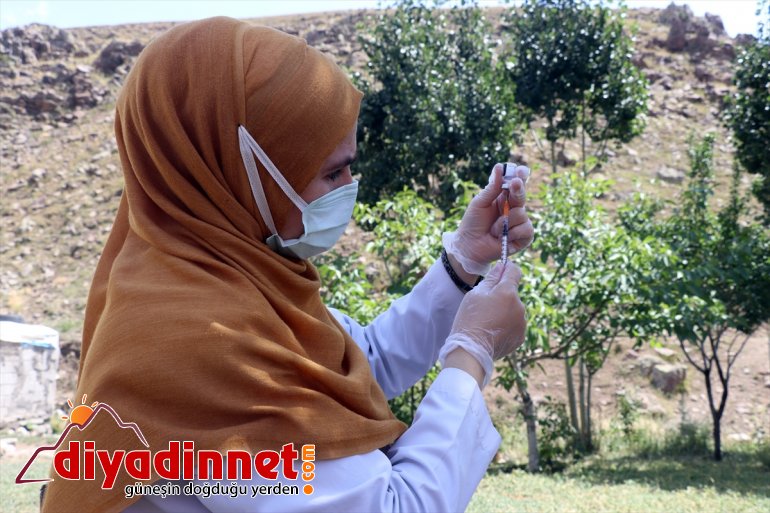 kategorideki - risk aşı kırsalda Ağrı