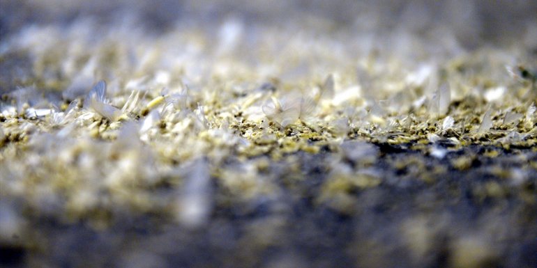 ARDAHAN - Günlerdir süren bir günlüklerin ölüm uçuşu sona erdi1