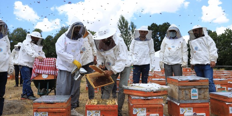 BİNGÖL - Bingöl Üniversitesi, kaliteli bal üretilen bölgeleri belirliyor1