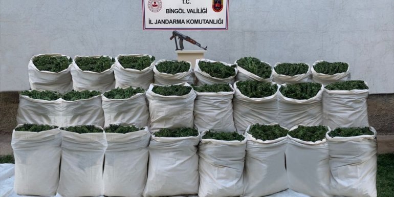 Bingöl'de 665 kilogram esrar ve 10 bin 262 kök kenevir ele geçirildi