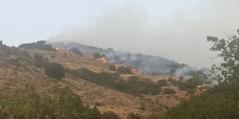 Bingöl'de ormanlık alanda çıkan yangına müdahale ediliyor