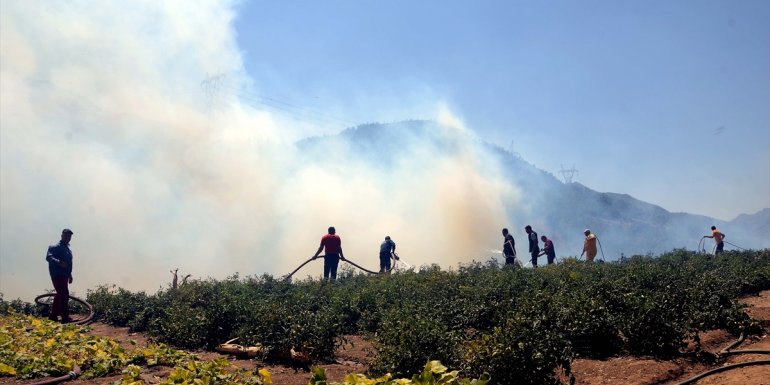 Bitlis'te ormanlık alanda çıkan örtü yangınının söndürülmesi için çalışmalar sürüyor