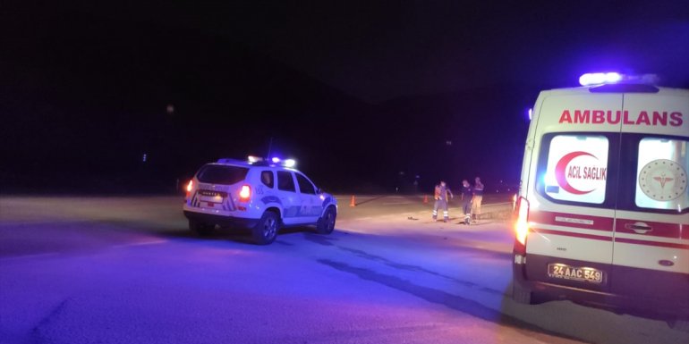 Erzincan'da otomobilin çarptığı orman muhafaza memuru hayatını kaybetti