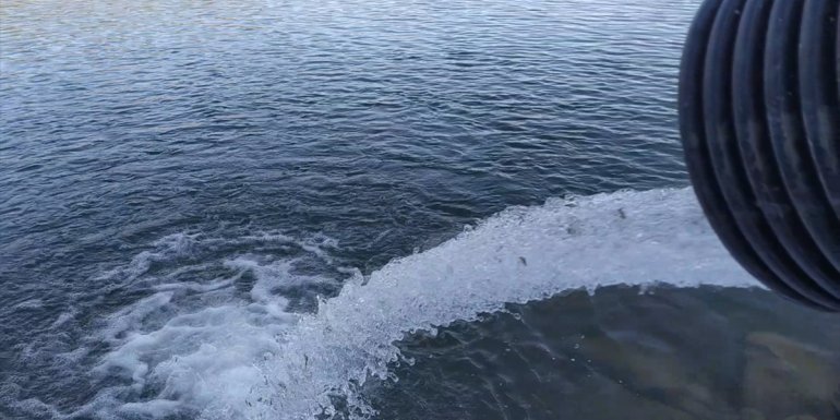 Erzincan'daki Kalkancı Göleti'ne 100 bin yavru sazan balığı bırakıldı