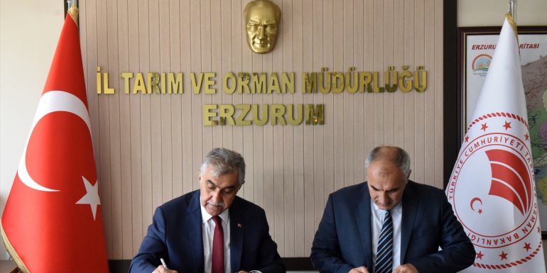 Erzurum'da 'Damızlık Ana Arı Üretim' projesinin protokolü imzalandı