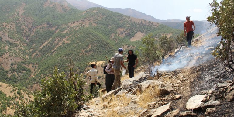 Hakkari'de dağlık alanda çıkan örtü altı yangınına müdahale ediliyor