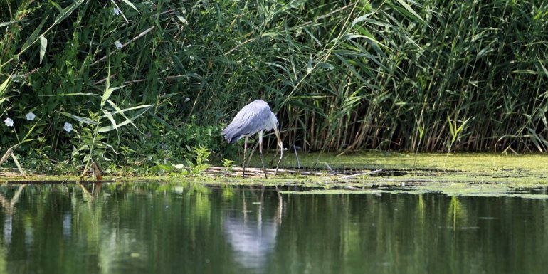 IĞDIR - Ağrı Dağı Milli Parkı
