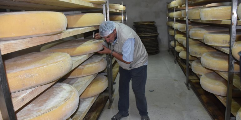 Kars gravyer peynirinin 9 ay süren lezzet yolculuğu