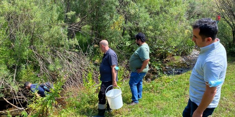 Kars'ta nesli tükenme tehlikesi altında olan kırmızı benekli alabalığın popülasyonu artırılacak