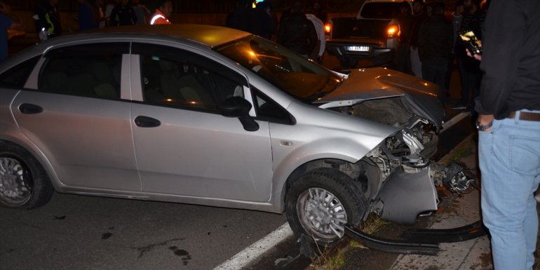 Kars'ta otomobilin çarptığı bozayı telef oldu