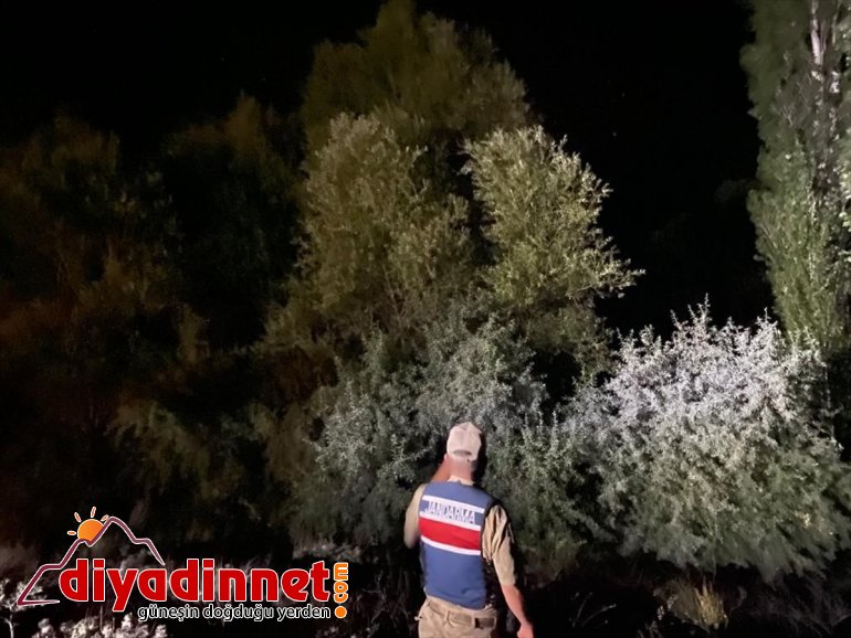 Malatya'da jandarma orman denetimlerini sürdürdü