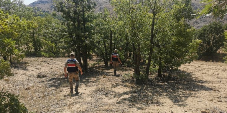 Malatya'da ormanlık alanlarda mola, piknik ve sportif faaliyetler 19 Eylül'e kadar yasaklandı
