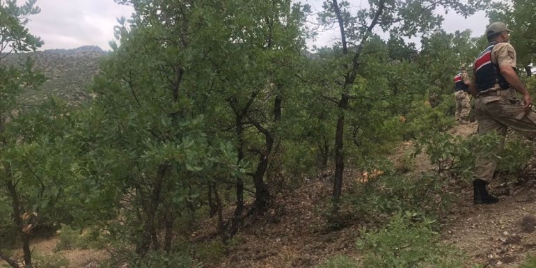 Malatya'da jandarma ormanlık alanları denetledi