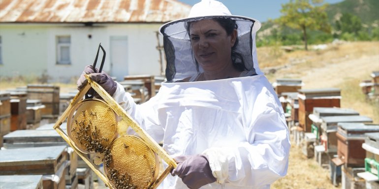 Destekle başladığı arıcılıkta başarılı olan Tuncelili kadın girişimci, işini büyütmek istiyor