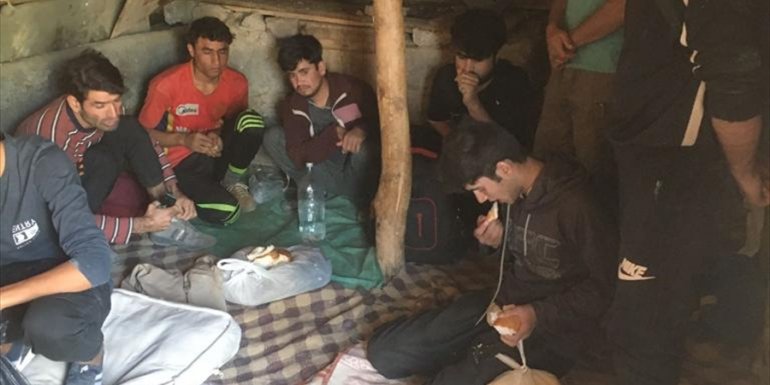 Van'da iki ahırda 42 düzensiz göçmen yakalandı