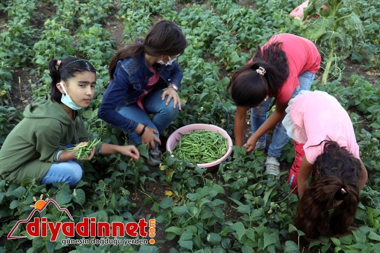 okulunun masrafı karşılanıyor köy eğitim elde ürünlerle öğrencilerin edilen Ağrı