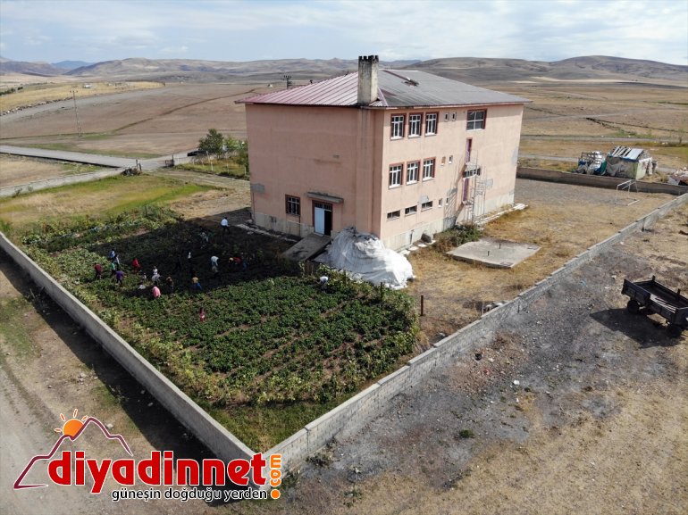 ürünlerle masrafı bostanından eğitim elde karşılanıyor Ağrı