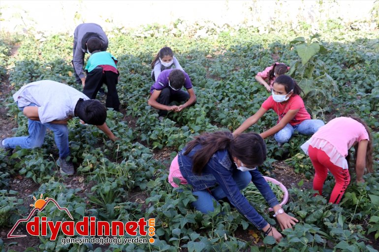 eğitim elde okulunun edilen karşılanıyor köy bostanından Ağrı