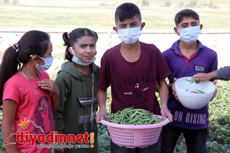 okulunun öğrencilerin edilen bostanından köy eğitim Ağrı