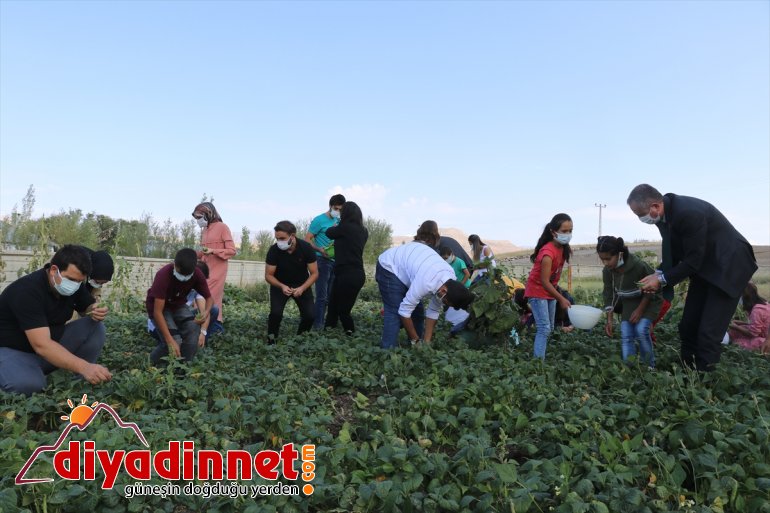 bostanından köy masrafı karşılanıyor okulunun eğitim edilen elde ürünlerle Ağrı