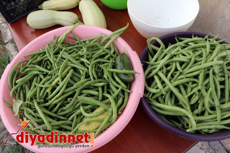 masrafı bostanından karşılanıyor eğitim edilen öğrencilerin okulunun elde köy Ağrı