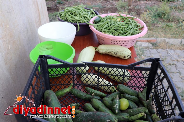 köy karşılanıyor bostanından öğrencilerin Ağrı