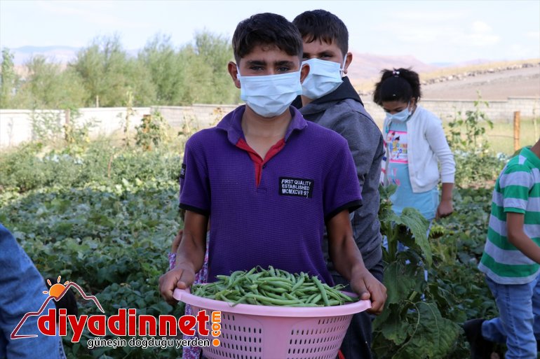 elde eğitim karşılanıyor öğrencilerin bostanından ürünlerle edilen köy masrafı okulunun Ağrı