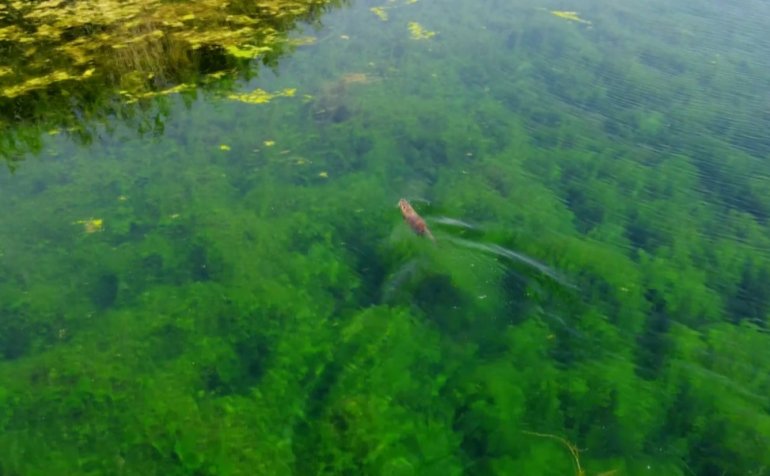 ağrı dağı milli parkı1